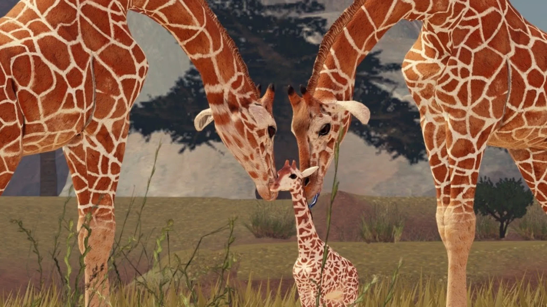 Savannah Life promo image